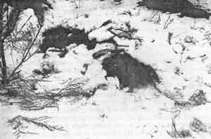 Иллюстрация к книге — Искусство снайпера [image271.jpg]