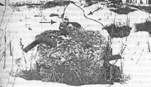 Иллюстрация к книге — Искусство снайпера [image276.jpg]