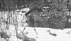 Иллюстрация к книге — Искусство снайпера [image277.jpg]