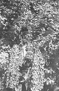 Иллюстрация к книге — Искусство снайпера [image278.jpg]