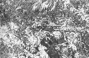 Иллюстрация к книге — Искусство снайпера [image279.jpg]