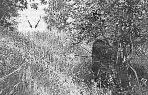 Иллюстрация к книге — Искусство снайпера [image284.jpg]