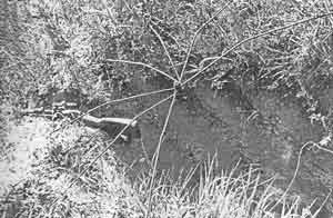 Иллюстрация к книге — Искусство снайпера [image288.jpg]