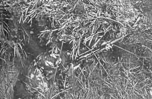 Иллюстрация к книге — Искусство снайпера [image289.jpg]