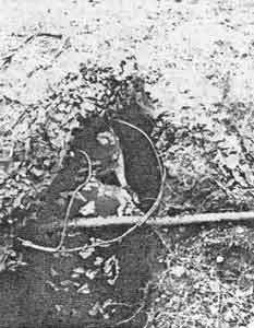 Иллюстрация к книге — Искусство снайпера [image290.jpg]