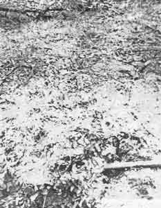 Иллюстрация к книге — Искусство снайпера [image291.jpg]