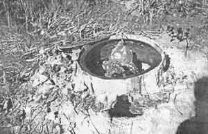 Иллюстрация к книге — Искусство снайпера [image293.jpg]