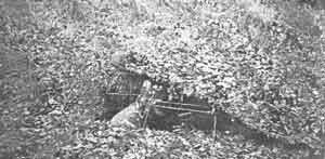 Иллюстрация к книге — Искусство снайпера [image302.jpg]