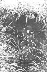 Иллюстрация к книге — Искусство снайпера [image303.jpg]