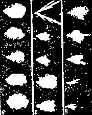 Иллюстрация к книге — Искусство снайпера [image314.jpg]