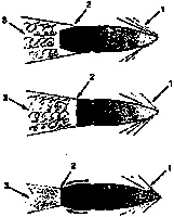 Иллюстрация к книге — Искусство снайпера [image321.jpg]