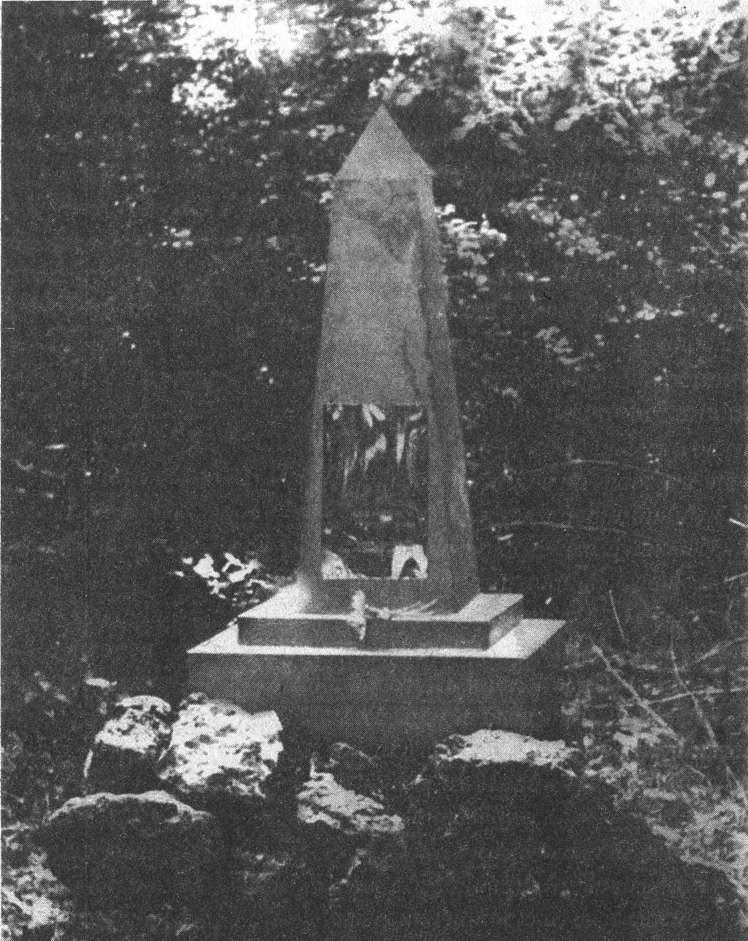 Иллюстрация к книге — Страшная правда о Великой Отечественной. Партизаны без грифа "Секретно" [i_003.jpg]