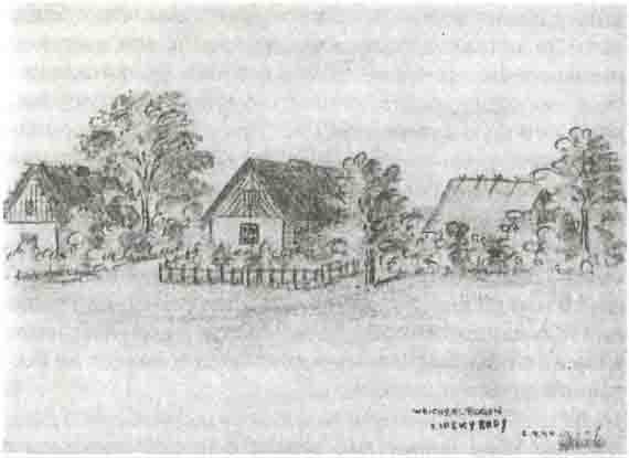 Иллюстрация к книге — Кровавое безумие Восточного фронта [i_024.jpg]