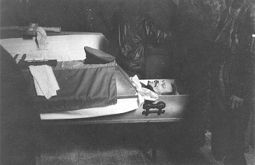 Иллюстрация к книге — Сербский закат [i_015.jpg]