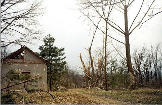 Иллюстрация к книге — Русские волки [i_002.jpg]