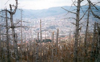 Иллюстрация к книге — Русские волки [i_003.jpg]