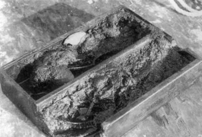 Иллюстрация к книге — Ныряющие в темноту [i_034.jpg]