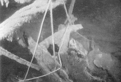 Иллюстрация к книге — Ныряющие в темноту [i_043.jpg]