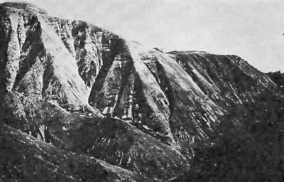 Иллюстрация к книге — Особая группа НКВД [i_015.jpg]