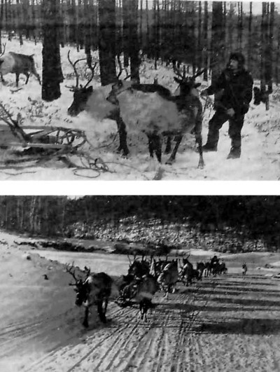 Иллюстрация к книге — Особая группа НКВД [i_022.jpg]