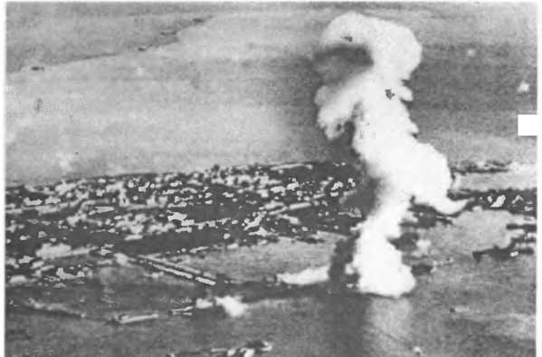 Иллюстрация к книге — Бомбы сброшены! [i_010.jpg]