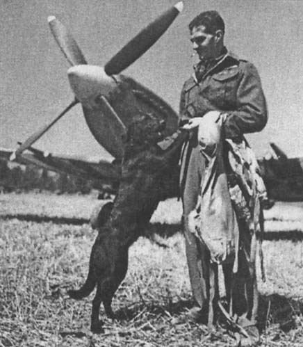 Иллюстрация к книге — Лучший английский ас [_05.jpg]