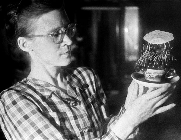 Иллюстрация к книге — Счастливая девочка растет [i_032.jpg]