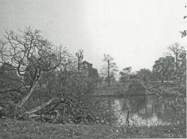 Иллюстрация к книге — Лондон. Прогулки по столице мира [i_030.jpg]