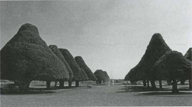 Иллюстрация к книге — Лондон. Прогулки по столице мира [i_044.jpg]