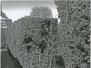 Иллюстрация к книге — Лондон. Прогулки по столице мира [i_048.jpg]