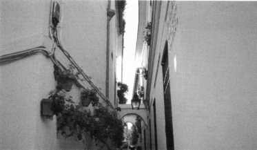 Иллюстрация к книге — Прогулки по Испании. От Пиренеев до Гибралтара [i_020.jpg]