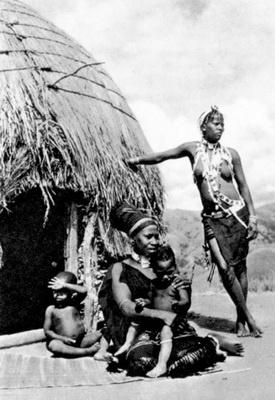 Иллюстрация к книге — Южная Африка. Прогулки на краю света [_12.jpg]