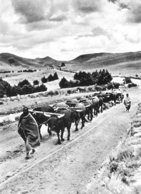 Иллюстрация к книге — Южная Африка. Прогулки на краю света [_13.jpg]