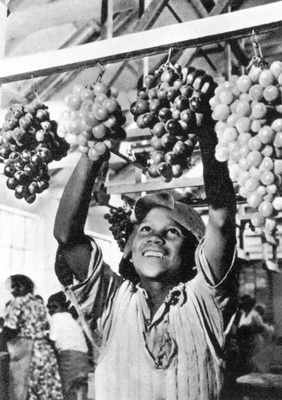 Иллюстрация к книге — Южная Африка. Прогулки на краю света [_8.jpg]