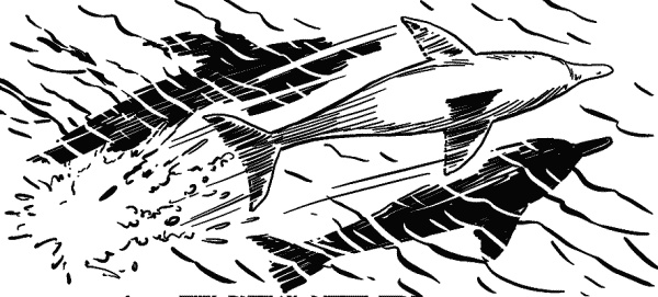 Иллюстрация к книге — Записки экспедитора Тайной канцелярии. К берегам Новой Англии [i_031.jpg]