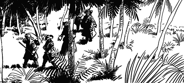 Иллюстрация к книге — Записки экспедитора Тайной канцелярии. К берегам Новой Англии [i_079.jpg]