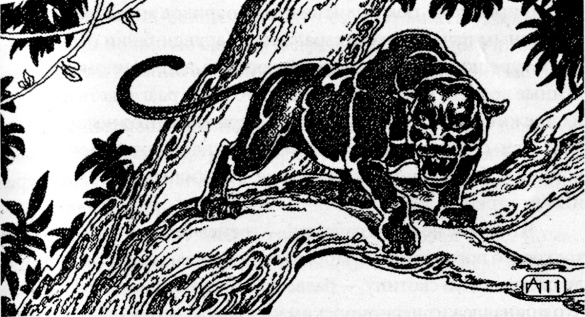 Иллюстрация к книге — Лекарь. Ученик Авиценны [i_003.jpg]