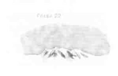 Иллюстрация к книге — Остров в море [any2fbimgloader22.jpg]