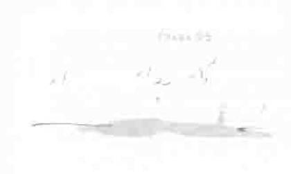 Иллюстрация к книге — Остров в море [any2fbimgloader25.jpg]