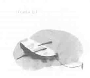 Иллюстрация к книге — Остров в море [any2fbimgloader31.jpg]