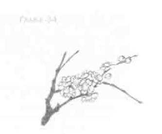 Иллюстрация к книге — Остров в море [any2fbimgloader34.jpg]