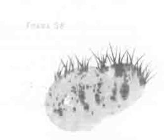 Иллюстрация к книге — Остров в море [any2fbimgloader38.jpg]