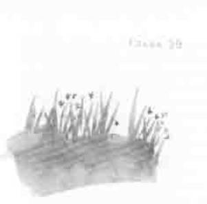 Иллюстрация к книге — Остров в море [any2fbimgloader39.jpg]