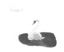 Иллюстрация к книге — Пруд Белых Лилий [pic_13.jpg]