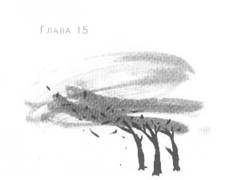 Иллюстрация к книге — Пруд Белых Лилий [pic_21.jpg]