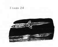 Иллюстрация к книге — Пруд Белых Лилий [pic_30a.jpg]