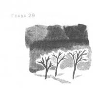 Иллюстрация к книге — Пруд Белых Лилий [pic_35.jpg]