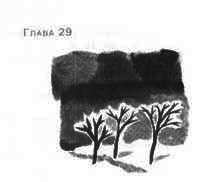 Иллюстрация к книге — Пруд Белых Лилий [pic_35a.jpg]