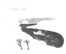 Иллюстрация к книге — Пруд Белых Лилий [pic_40.jpg]