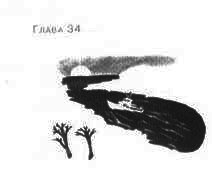 Иллюстрация к книге — Пруд Белых Лилий [pic_40a.jpg]